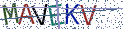 Type the letters shown in the picture