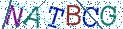 Type the letters shown in the picture