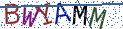 Type the letters shown in the picture