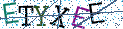 Type the letters shown in the picture