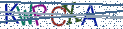 Type the letters shown in the picture