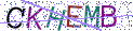 Type the letters shown in the picture
