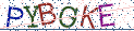 Type the letters shown in the picture