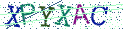 Type the letters shown in the picture