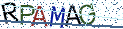 Type the letters shown in the picture