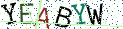 Type the letters shown in the picture