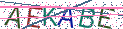 Type the letters shown in the picture