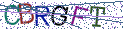 Type the letters shown in the picture