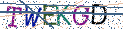 Type the letters shown in the picture