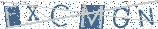 Type the letters shown in the picture
