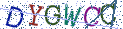 Type the letters shown in the picture
