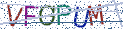 Type the letters shown in the picture