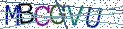 Type the letters shown in the picture
