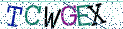 Type the letters shown in the picture