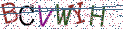 Type the letters shown in the picture
