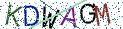 Type the letters shown in the picture