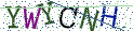 Type the letters shown in the picture