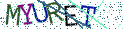 Type the letters shown in the picture