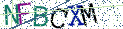 Type the letters shown in the picture