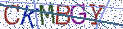 Type the letters shown in the picture