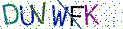 Type the letters shown in the picture