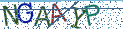 Type the letters shown in the picture