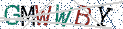 Type the letters shown in the picture