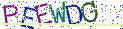 Type the letters shown in the picture
