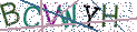Type the letters shown in the picture
