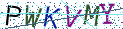 Type the letters shown in the picture