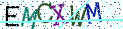 Type the letters shown in the picture