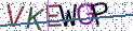 Type the letters shown in the picture