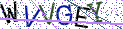 Type the letters shown in the picture