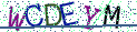 Type the letters shown in the picture