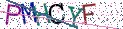 Type the letters shown in the picture
