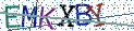 Type the letters shown in the picture