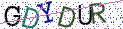 Type the letters shown in the picture