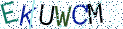 Type the letters shown in the picture