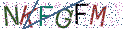 Type the letters shown in the picture