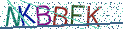 Type the letters shown in the picture