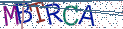 Type the letters shown in the picture