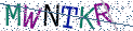 Type the letters shown in the picture