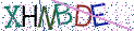 Type the letters shown in the picture