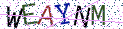 Type the letters shown in the picture