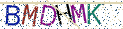 Type the letters shown in the picture