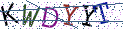 Type the letters shown in the picture