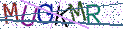 Type the letters shown in the picture