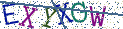 Type the letters shown in the picture