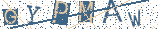 Type the letters shown in the picture