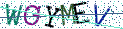 Type the letters shown in the picture